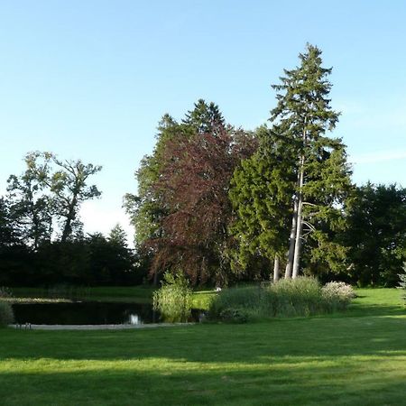 Miodowy Dwor Villa Rusinowo  Kültér fotó